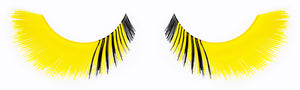 CL-C412 Feathered Yellow with Inner Black Accent